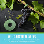 Load image into Gallery viewer, VELCRO Brand Adjustable Plant Ties | 75 ft x 1/2 in Green Garden Tape | Reusable, Cut-to-Length Hook & Loop Plant Support for Staking, Training & Organizing Tomatoes, Vines, and Flowers