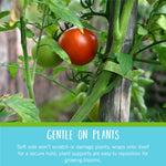 Load image into Gallery viewer, VELCRO Brand Adjustable Plant Ties | 75 ft x 1/2 in Green Garden Tape | Reusable, Cut-to-Length Hook & Loop Plant Support for Staking, Training & Organizing Tomatoes, Vines, and Flowers