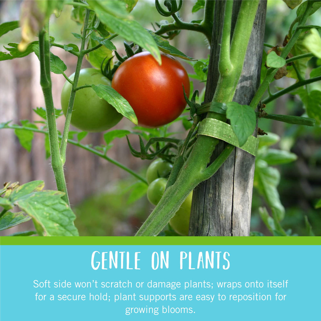 VELCRO Brand Adjustable Plant Ties | 75 ft x 1/2 in Green Garden Tape | Reusable, Cut-to-Length Hook & Loop Plant Support for Staking, Training & Organizing Tomatoes, Vines, and Flowers