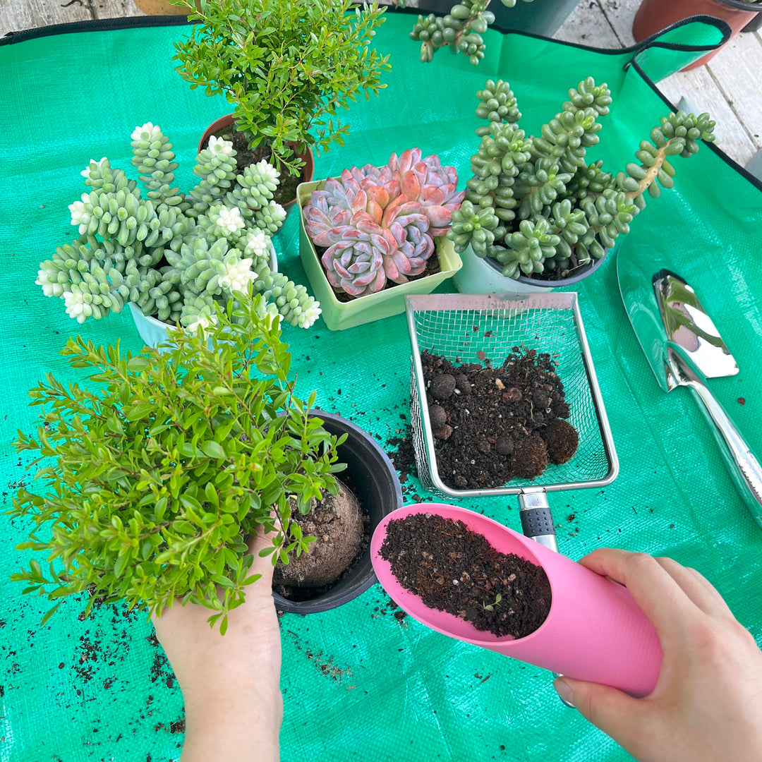 6-Pack Garden Tool Set, Soil Sifter Shovel (3.8 & 5mm Mesh) - Stainless Steel Gardening Kit & Essential Accessories, Garden Hand Tools & Planting Tools, Ideal Gardening Gifts for Women, Men, Mom & Dad